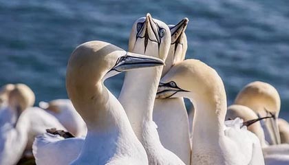 华体会——开启您的专业体育娱乐新体验