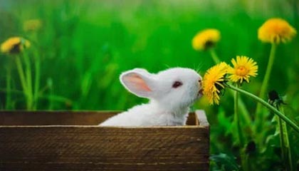 百家乐集团-安东尼奥谈U23国足冲决赛：50天苦练+海量视频复盘致胜